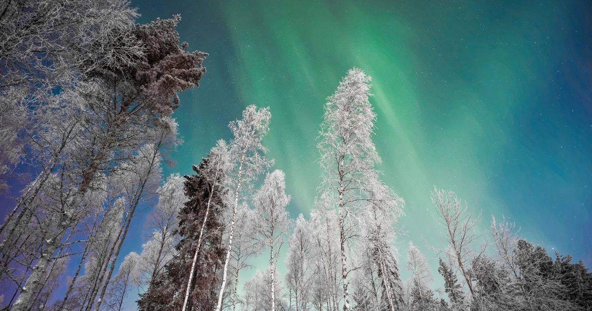 Top 14 Things to do in Lapland (Finland)