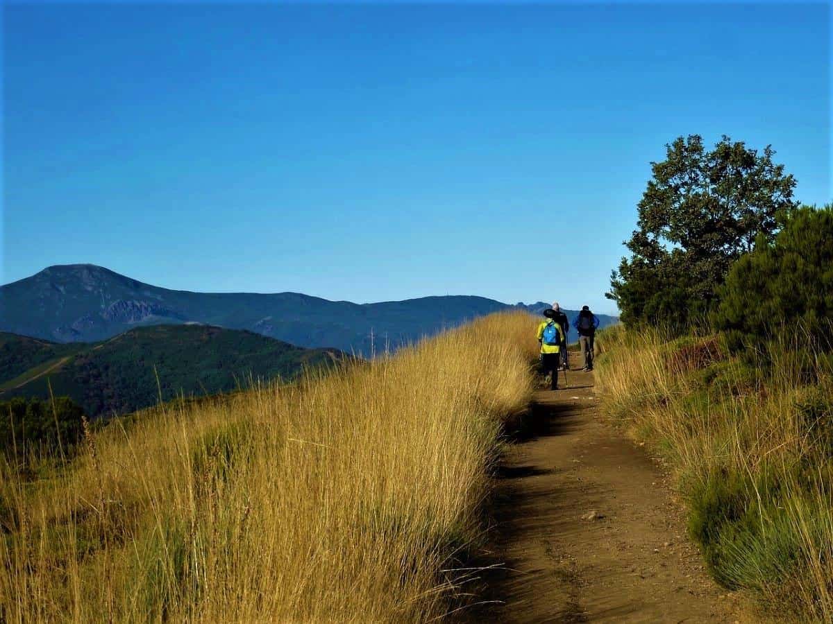 Camino de Santiago Trail