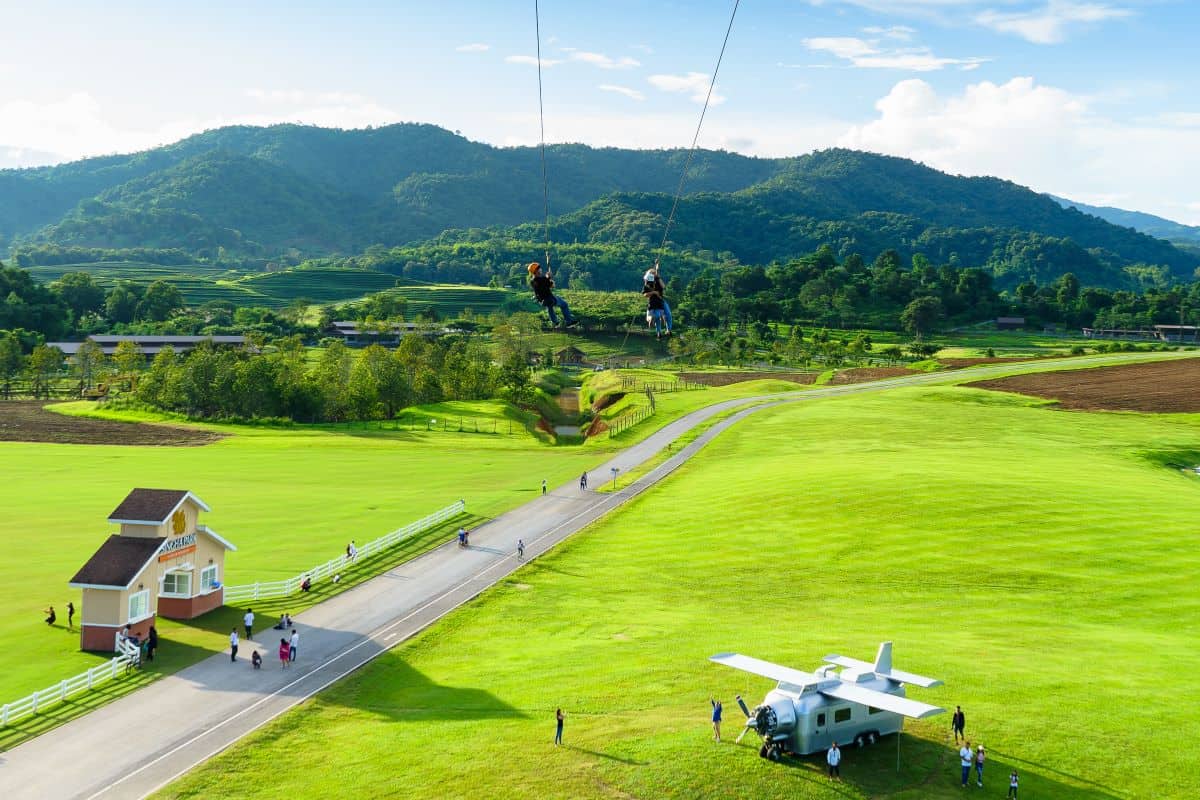 Zipline Through a Tea Plantation