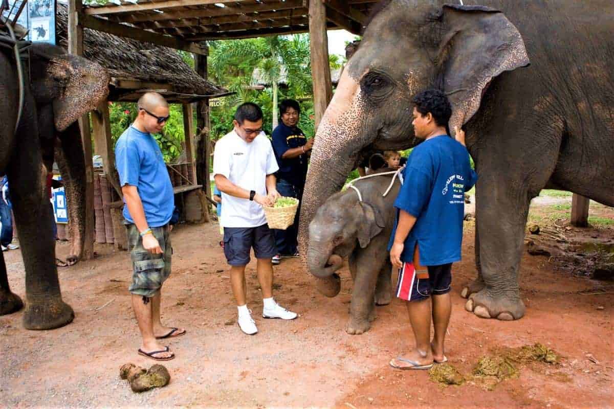 tour guide in thailand