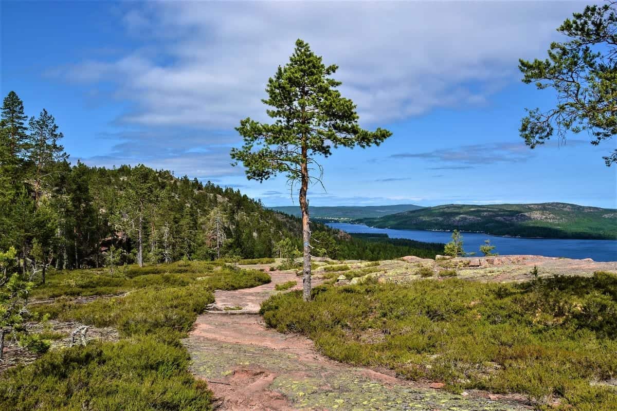 Höga Kusten