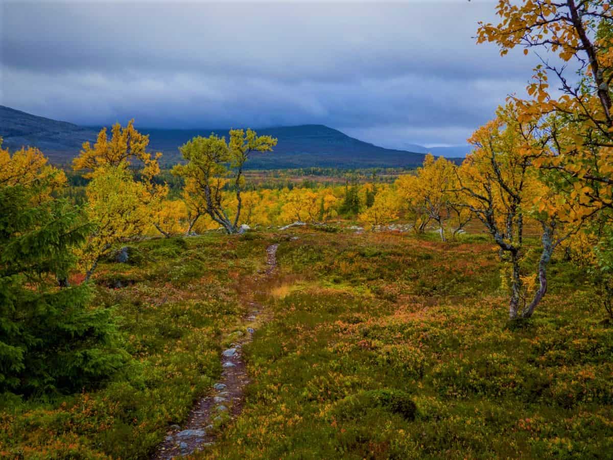 Vålådalen Nature reserve