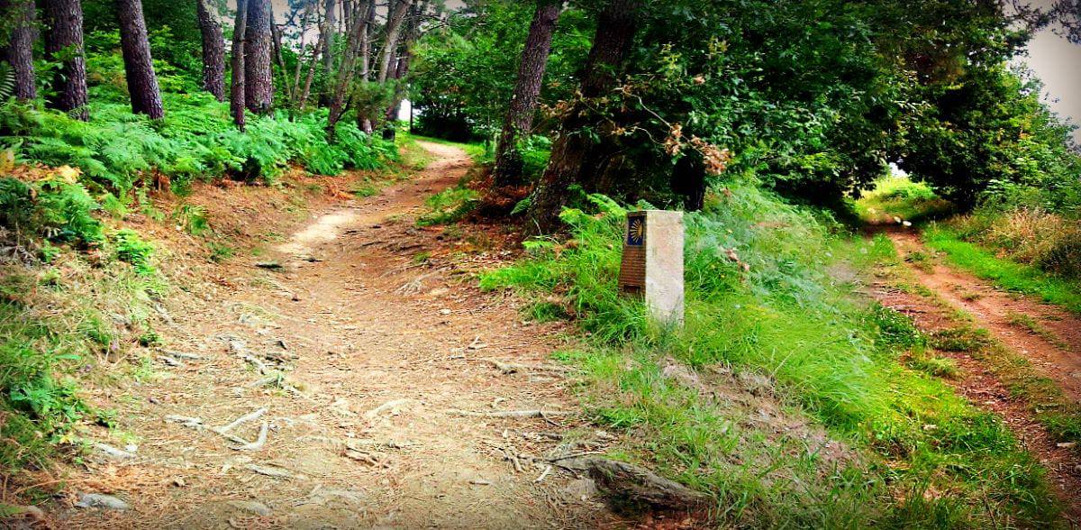 Camino de Santiago