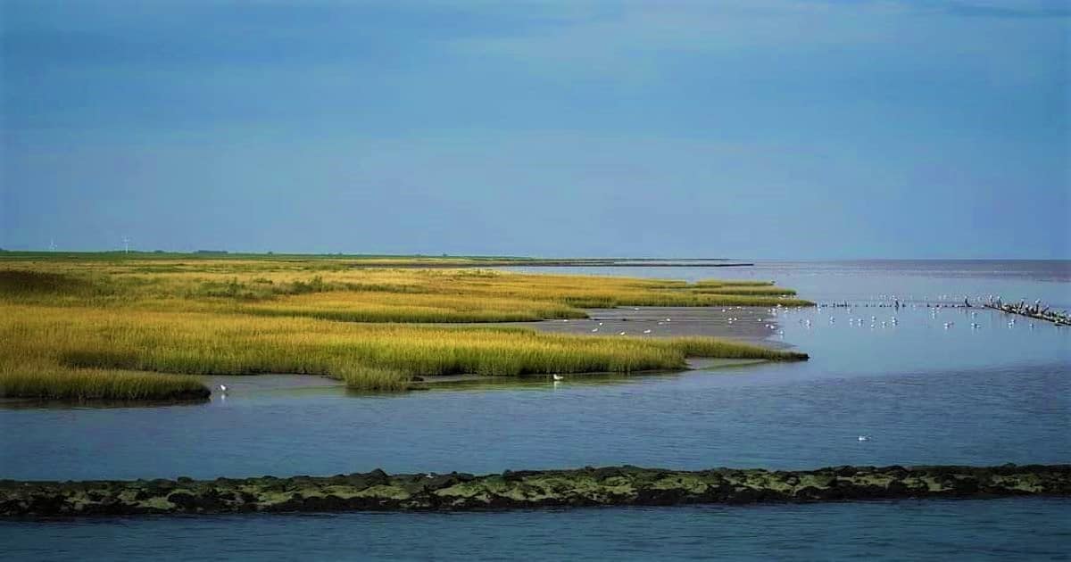 Wadden sea 