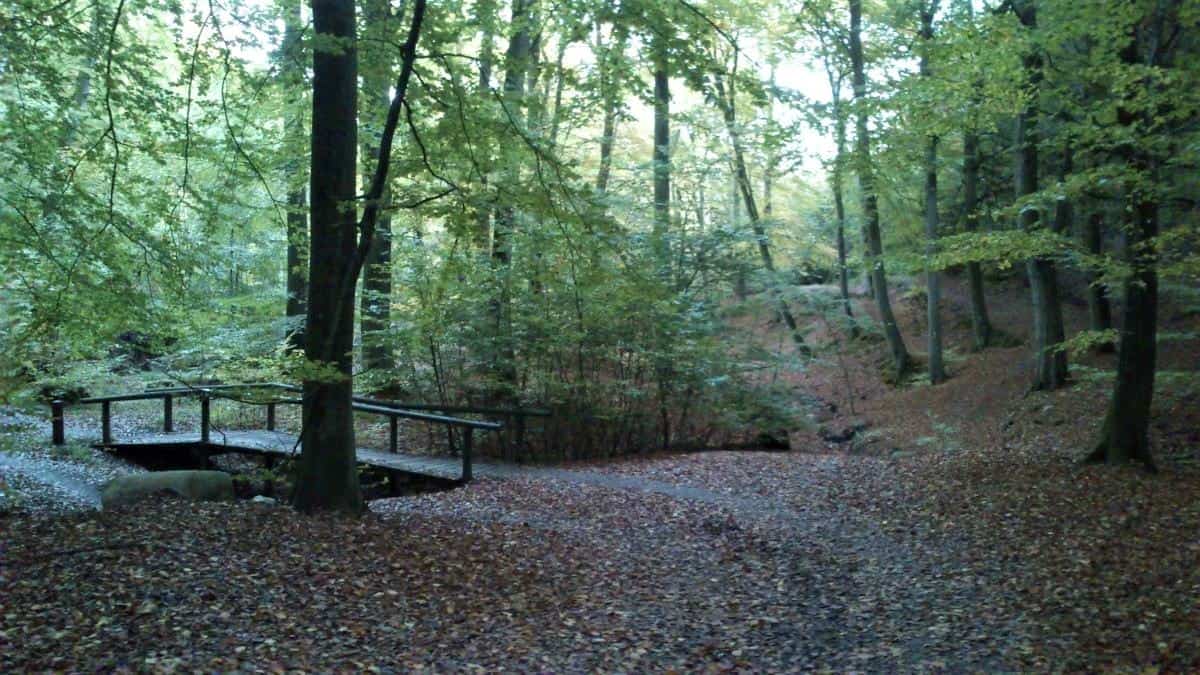 Marselisborg Forest Reserve