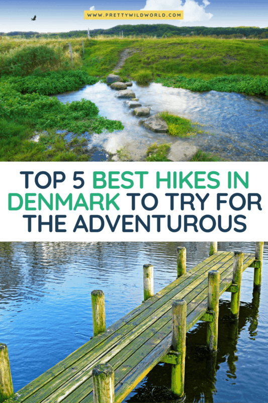 Top 5 Best Hikes in Denmark to Try for the Adventurous | Are you a hiking enthusiast who wishes to explore both the easy and challenging landscapes of Denmark? Or someone who simply wants to enjoy and immerse with nature. Check out these best hikes in Denmark. Things to do in Denmark, Denmark travel, travel to Denmark, Danish travel #Denmark #Europe #traveldestinations #traveltips #travelguide #travelhacks #bucketlisttravel #amazingdestinations #travelideas #traveltheworld
