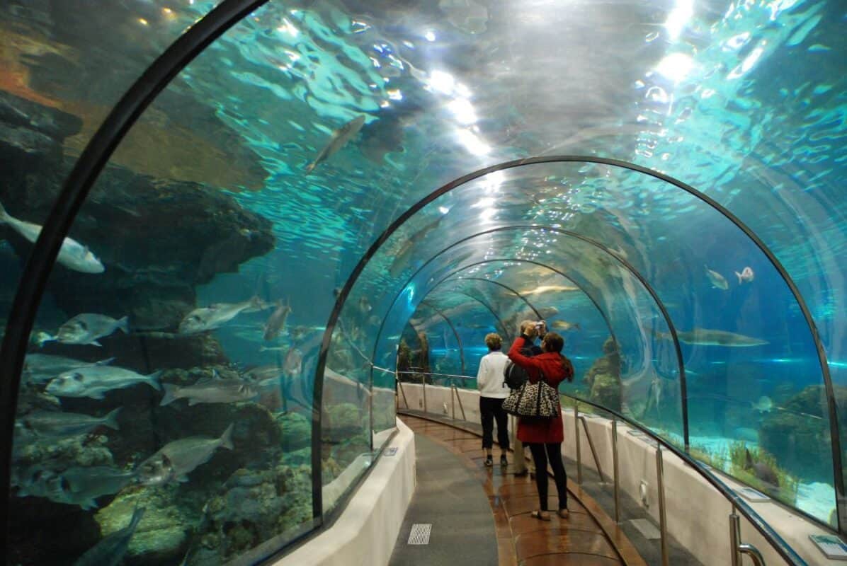L Aquarium Barcelona