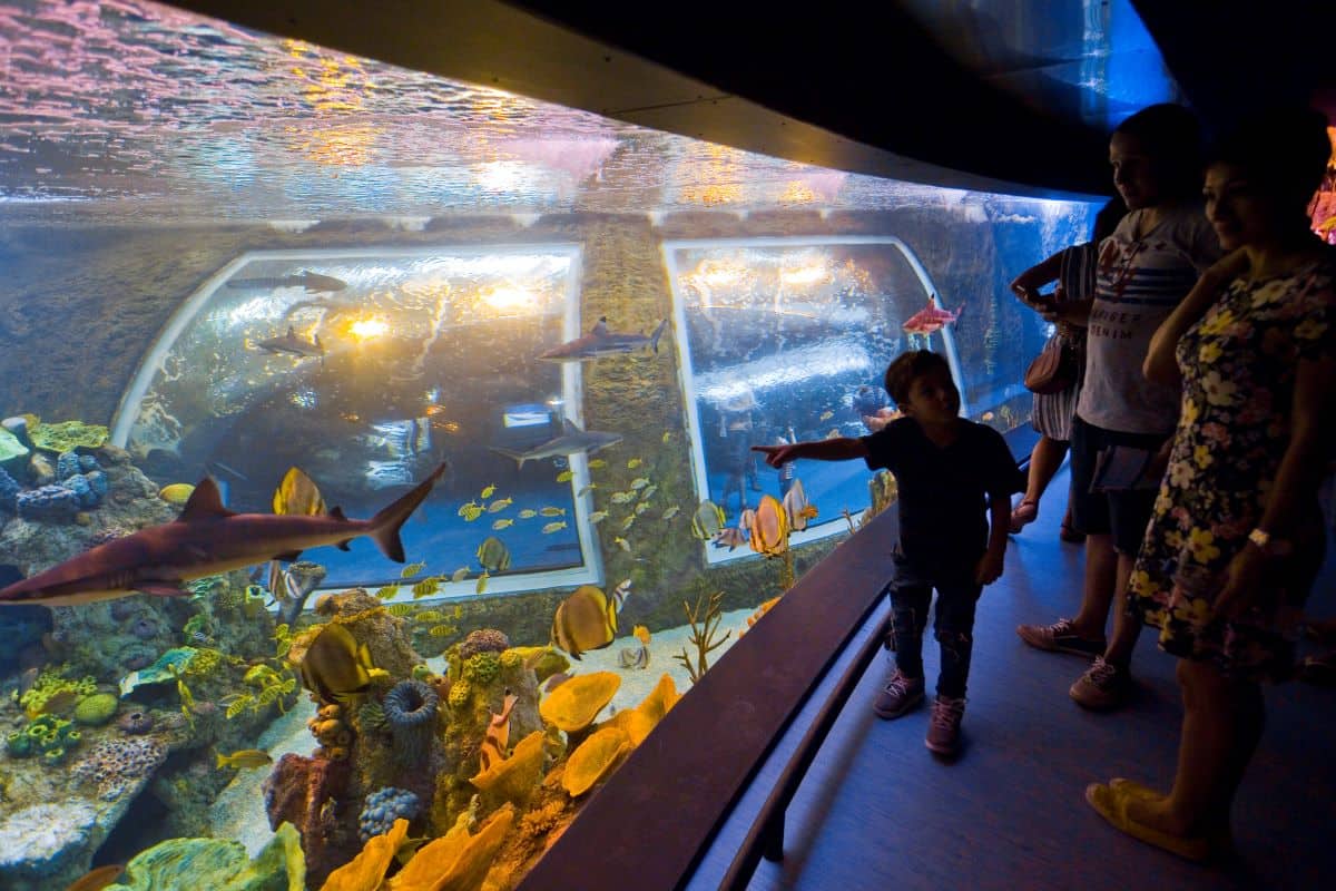 Bio dome aquarium in Parque de las ciencias