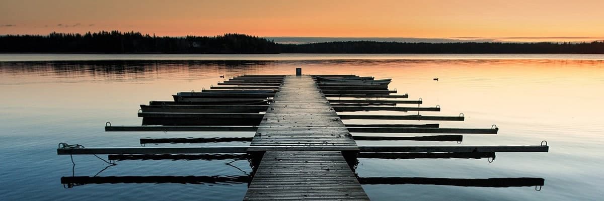 PRETTY WILD WORLD HOMEPAGE