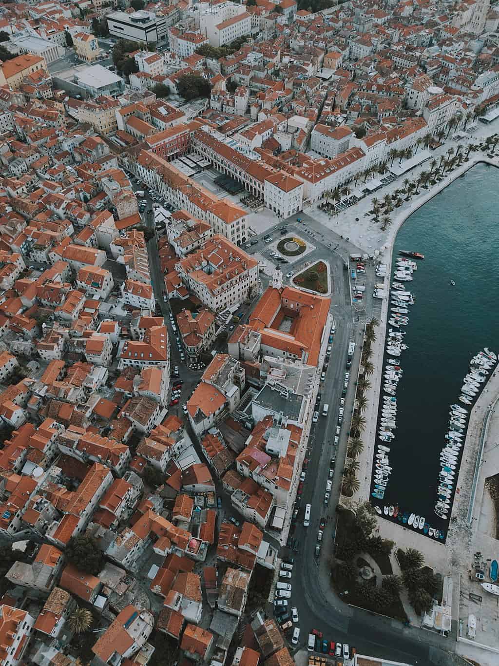 Snowy path lined with wooden fence, foggy forest background.