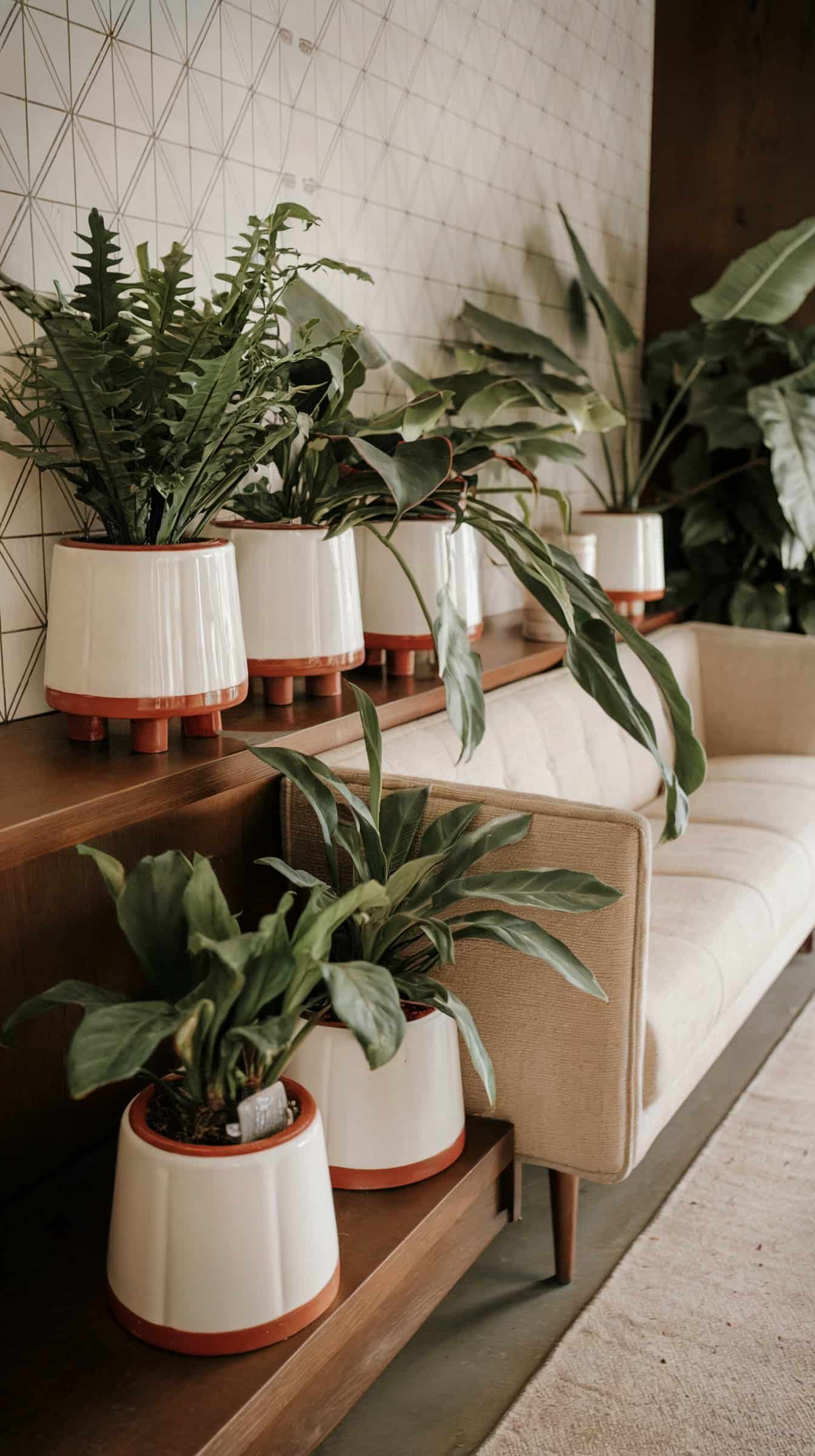 Discover mid-century modern hallway decor ideas that will transform your space with style, color, and chic designs. Elevate your home today!